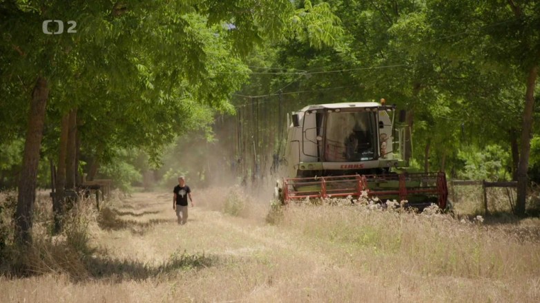Přizpůsobení se změně klimatu v zemědělství: Agrolesnictví chrání půdu a biologickou&nbsp;rozmanitost