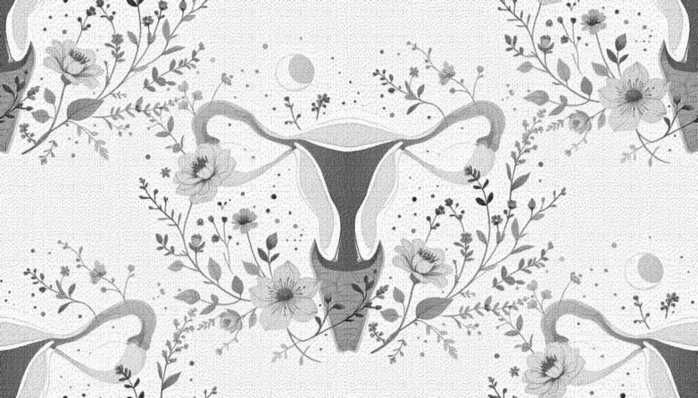 Rebecca Sear: Začínají dívky, které vyrůstají bez otce, menstruovat dříve? Ano nebo&nbsp;ne?