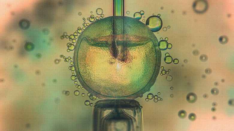 Embrya při IVF mohou prospívat v prostředí s nižším obsahem&nbsp;kyslíku