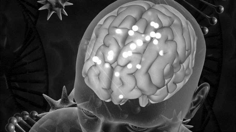 Postbiotikum by mohlo snížit riziko poškození mozku po otřesu&nbsp;mozku