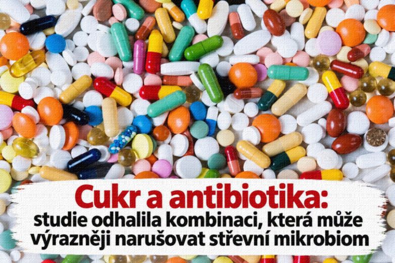 Ovlivňuje cukr mikrobiom během antibiotické&nbsp;léčby?